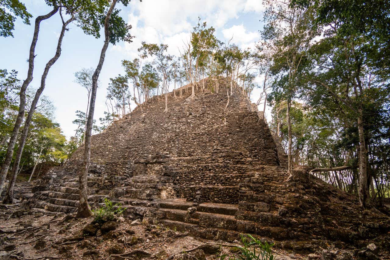 Pyramide de La Danta vue du sol, avec des arbres poussant à l'extérieur de la pyramide et un ciel nuageux visible derrière