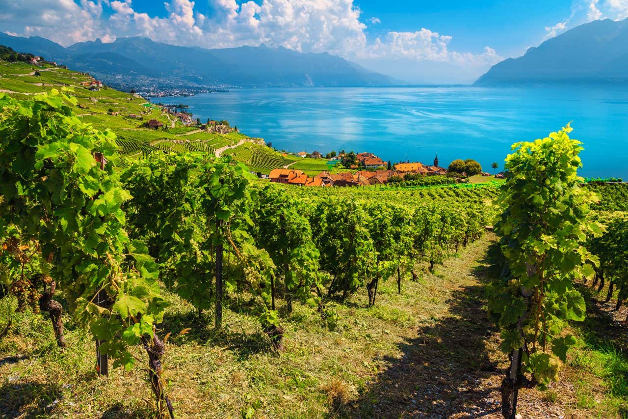 A view of Lake Geneva from the Lavaux vineyards, a UNESCO World Heritage site and a must-see in Switzerland