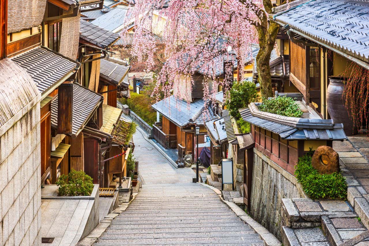 A small staircase leading downhill between small houses and cherry blossom trees.