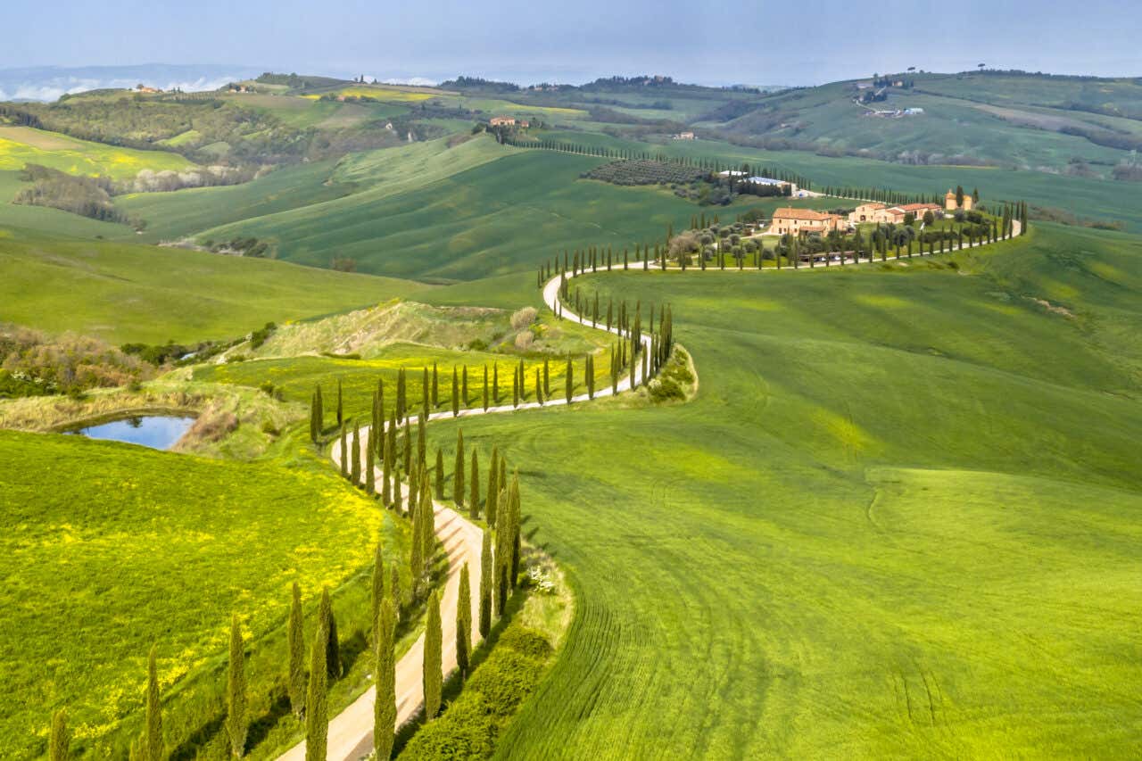 Route de Toscane bordée de cyprès entourée de collines verdoyantes