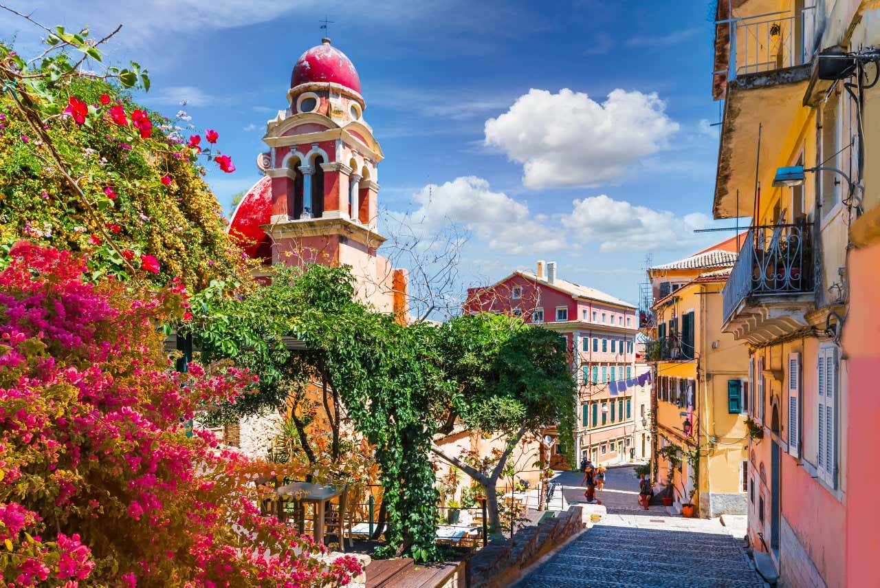 Buildings in Corfu Town and flowers