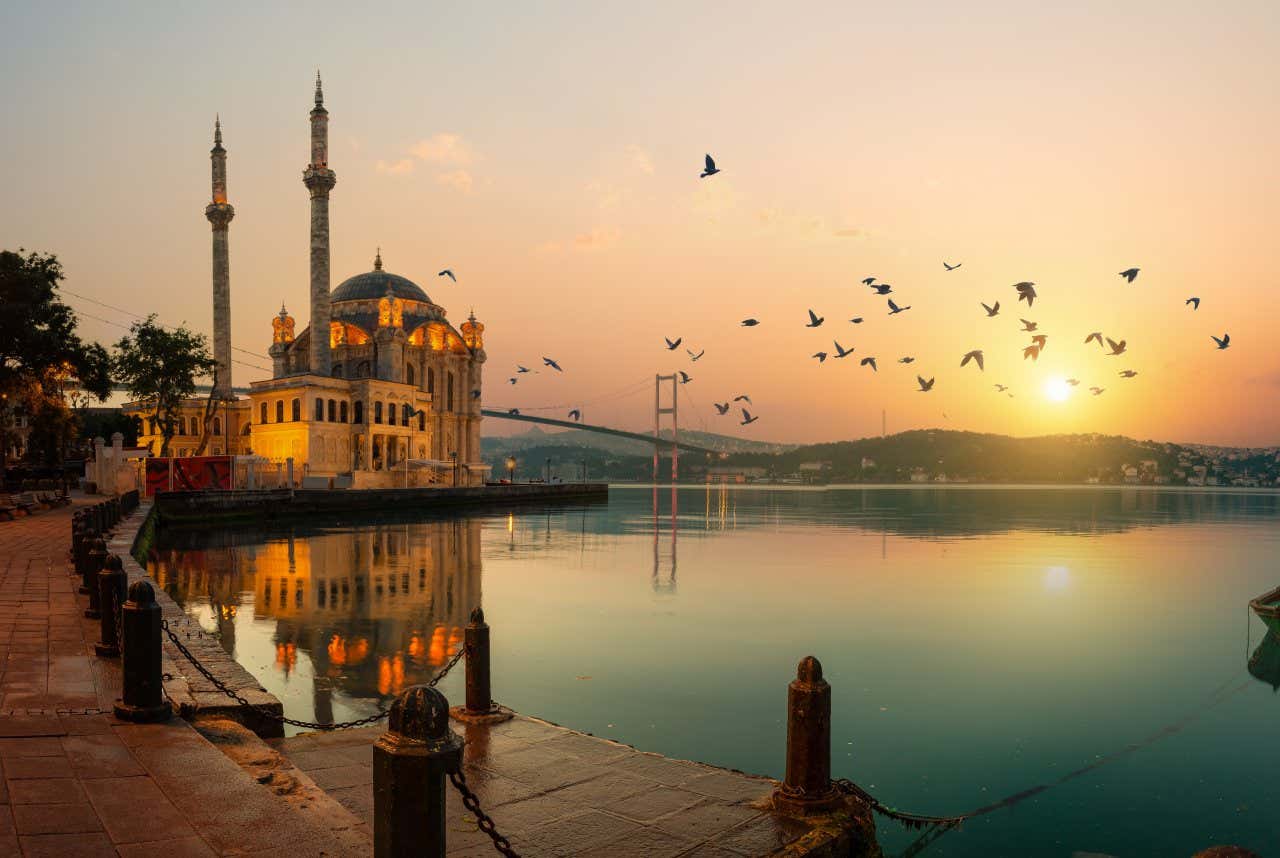 The Bosphorus Strait as seen from the side at sundown with a flock of birds flying in the foreground.