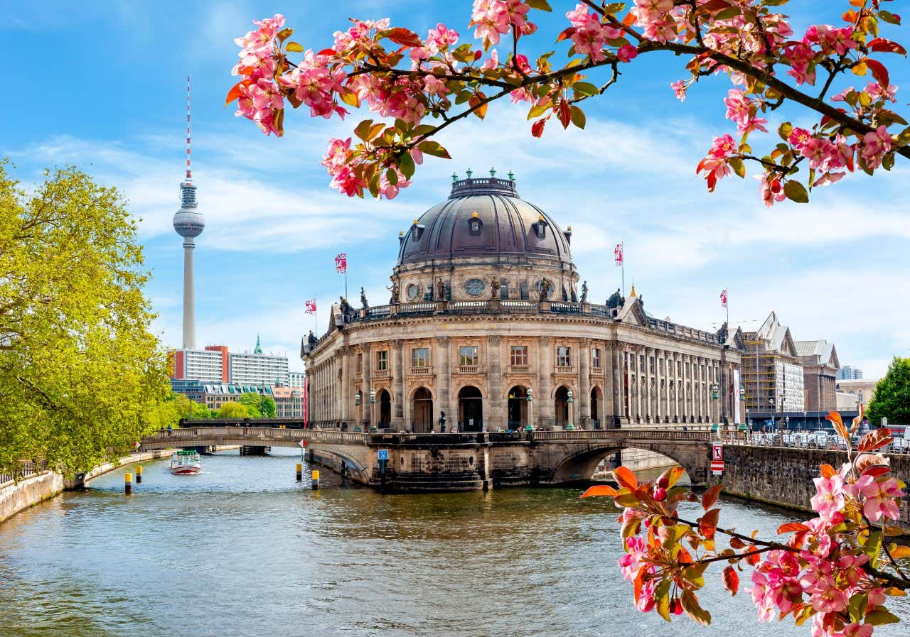 Île des musées sur la rivière Spree et tour de télévision Alexanderplatz dans le centre de Berlin avec un arbre fleuri au premier plan