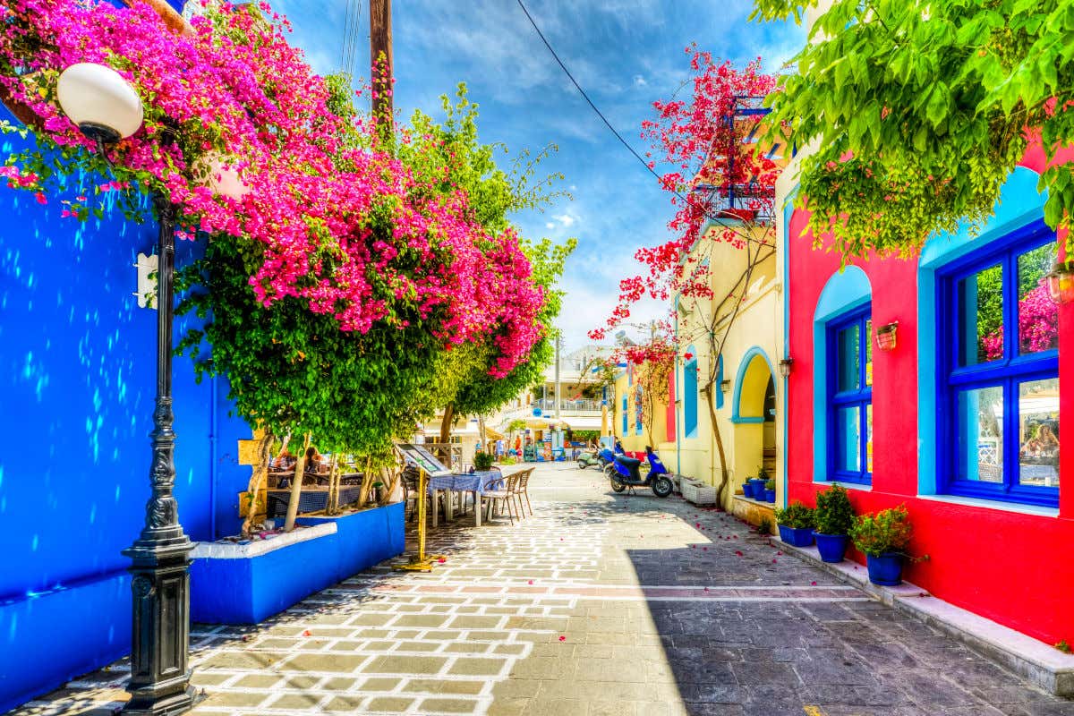 Una calle empedrada y colorida con casas de fachadas amarillas, azules y rojas