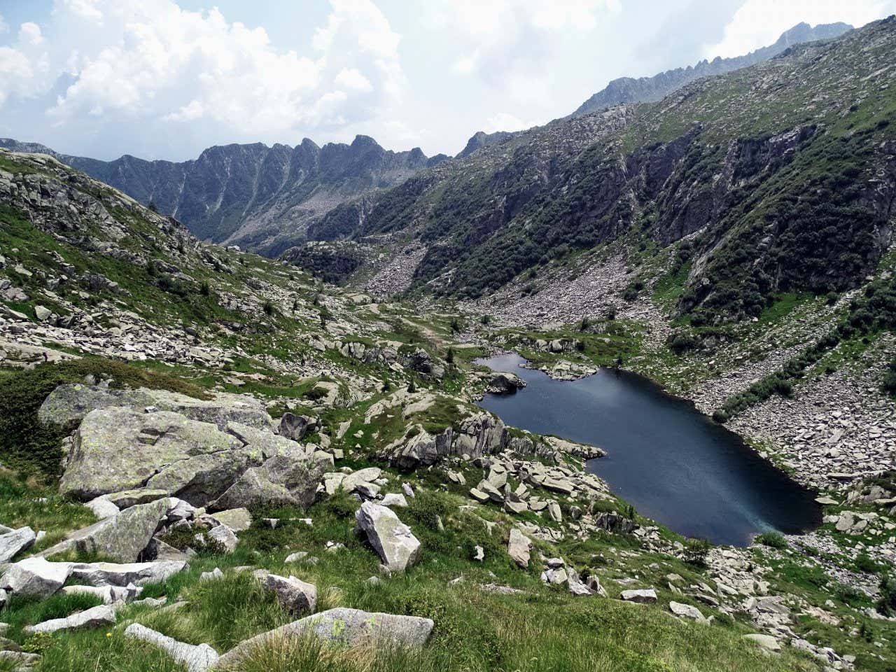 Un piccolo lago alpino affiora in alta montagna in mezzo alle rocce e a un bosco