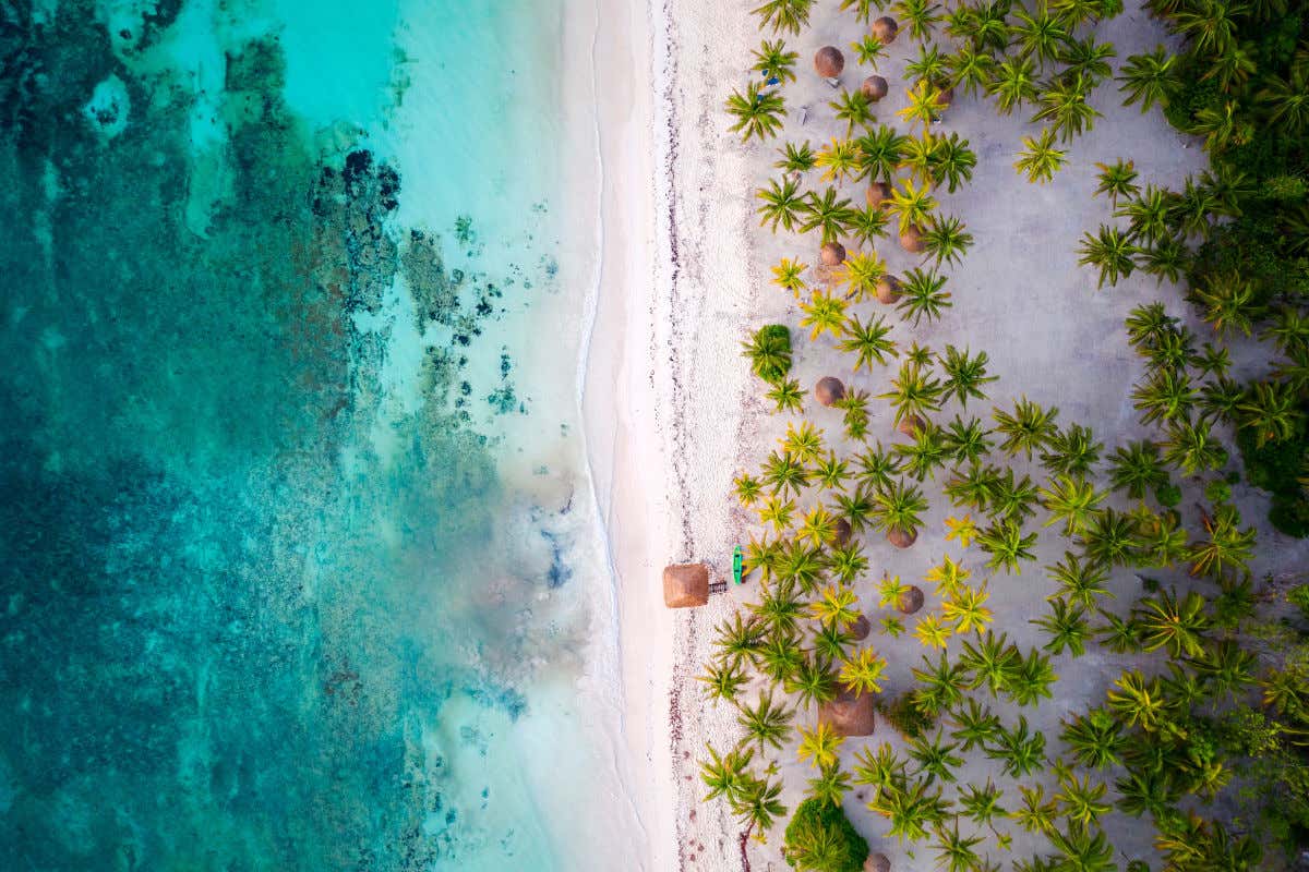 Vista aérea de las palmeras, la arena blanca y las aguas cristalinas de una playa de Riviera Maya