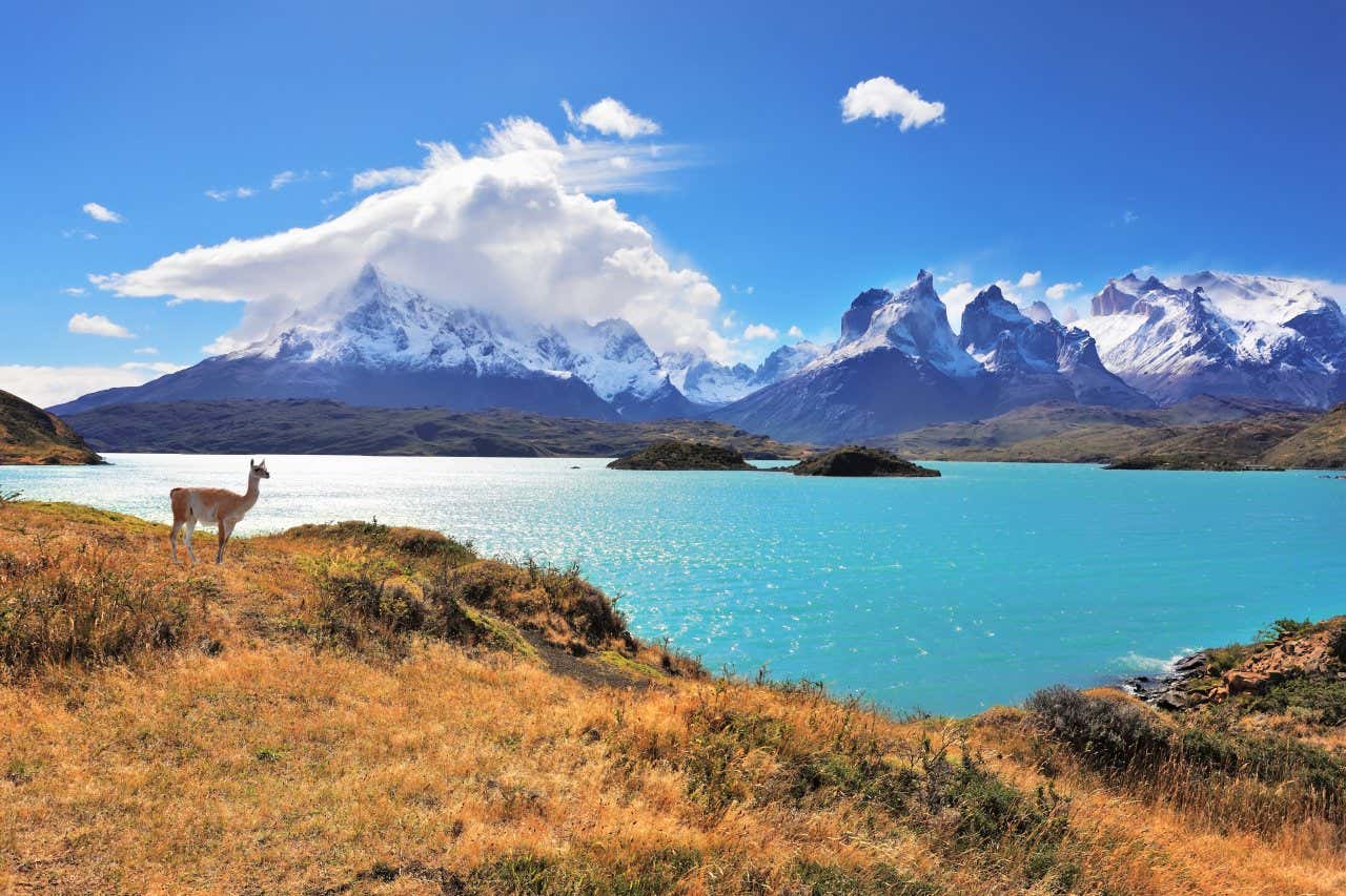 Grand lac aux eaux cristallines devant une chaîne de montagnes aux pics enneigés sous un ciel bleu et quelques nuages, l'un des plus beaux parcs du monde