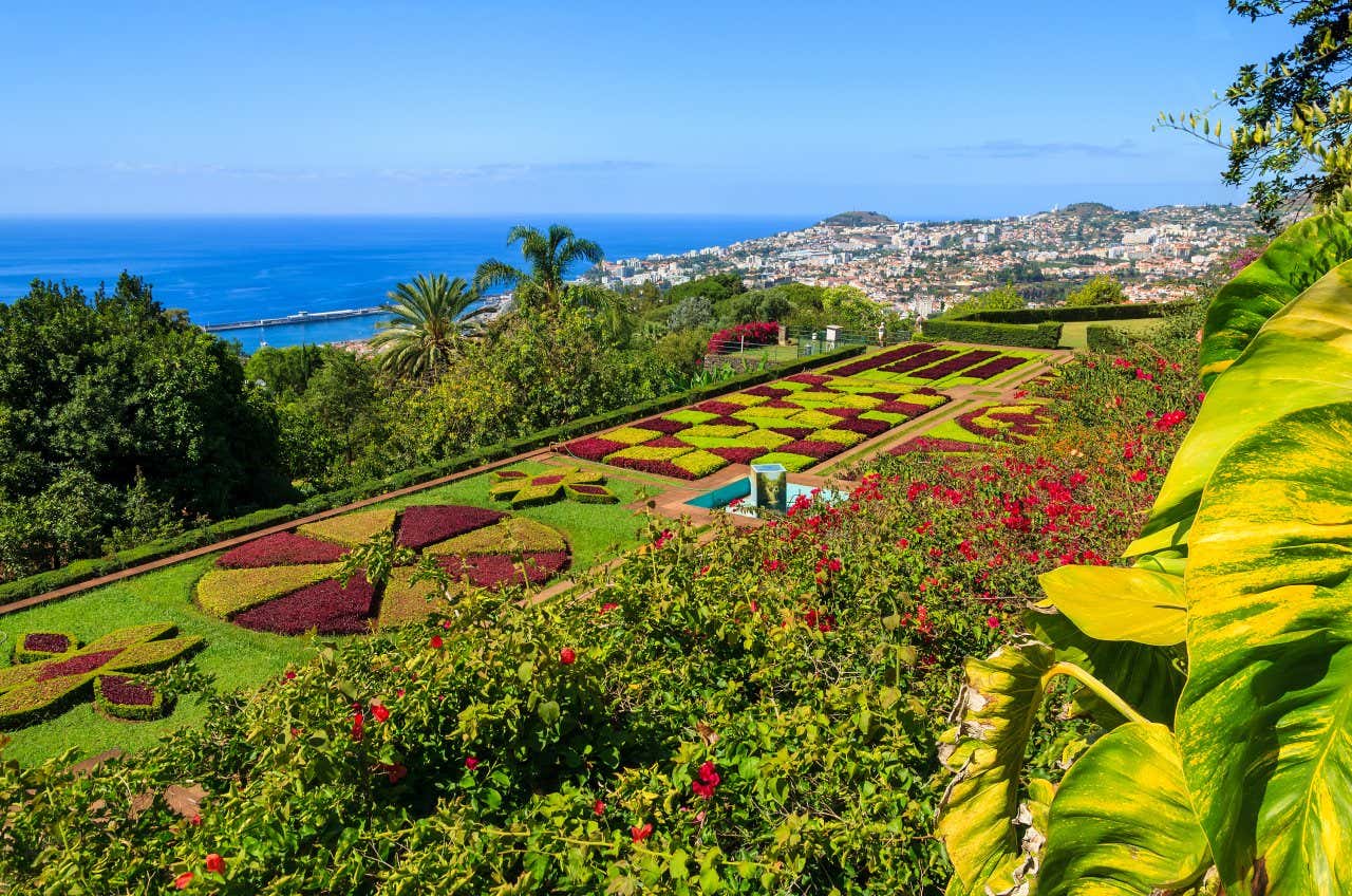 Madeira Botanical Garden with a city and the coastline seen in the distance.