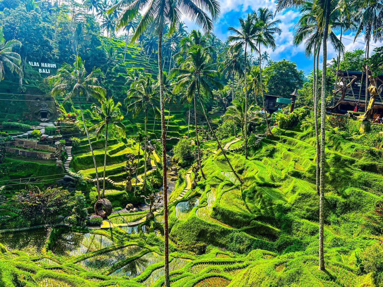 Top 10: Things to Do in Bali (2026) - Civitatis