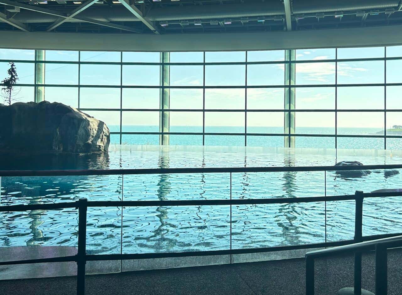 Um grande tanque de água com rochas e grandes janelas com vistas ao lago Michigan