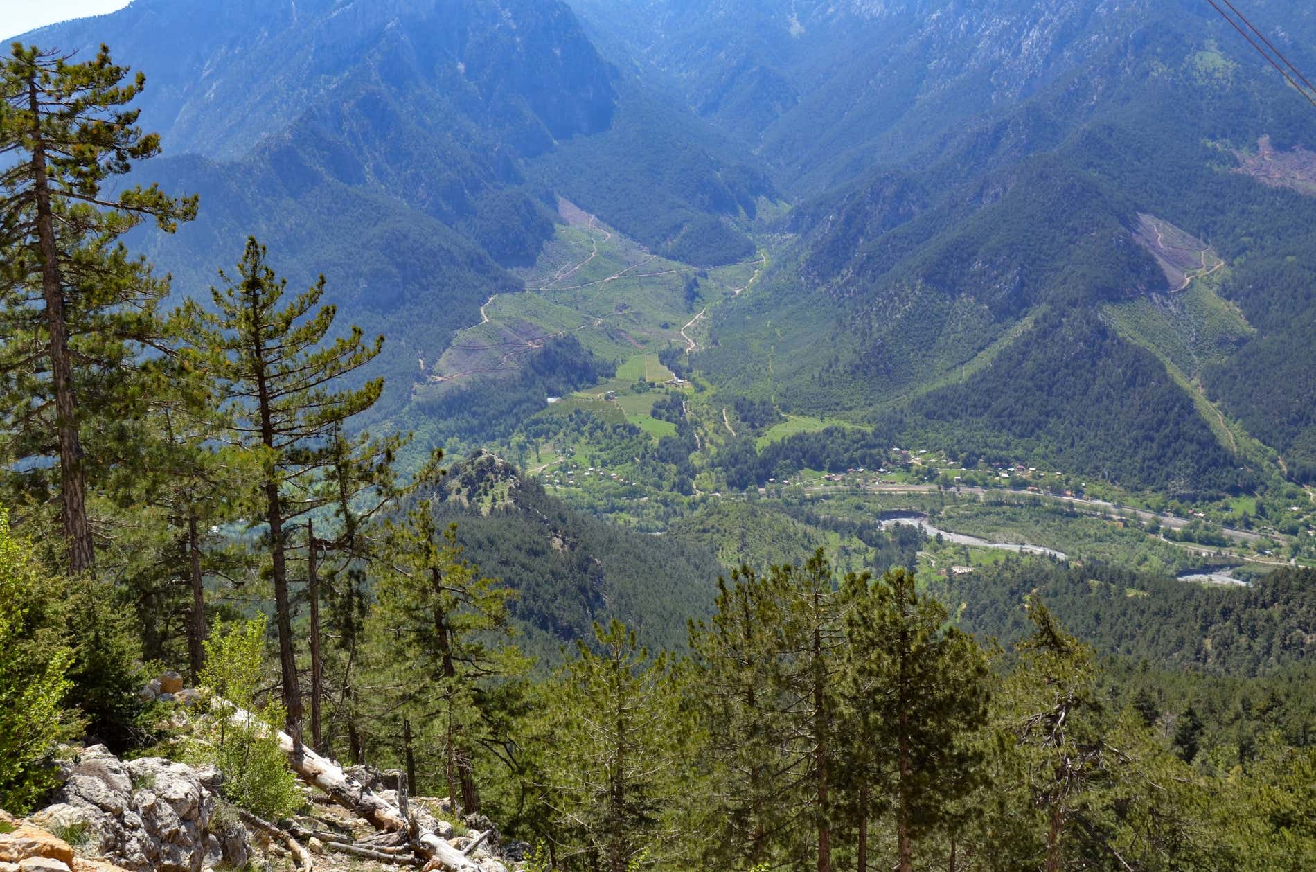 Una veduta aerea dei Monti Tauro, con alberi visibili in primo piano.