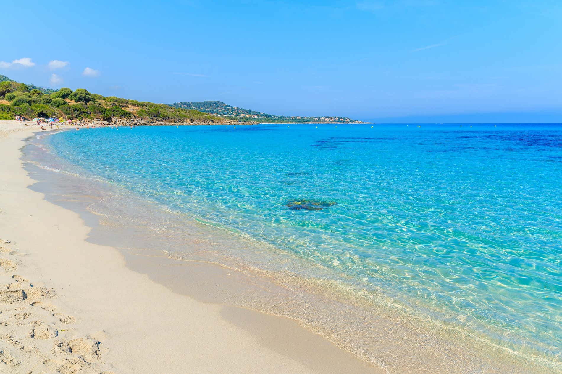 La spiaggia di Saleccia, con le sue acque limpide e la sabbia fine, è un luogo ideale per trascorrere una giornata in Corsica