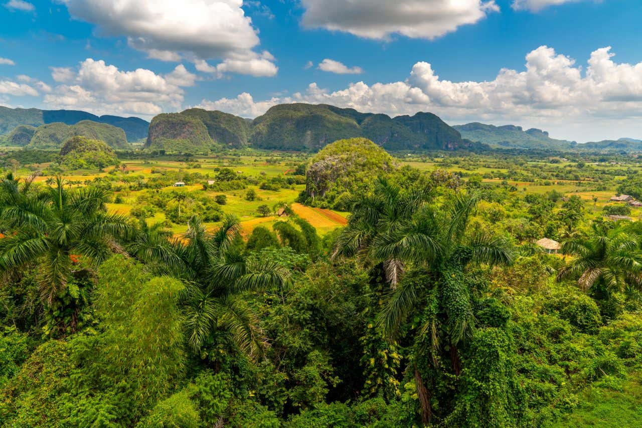 Paysage verdoyant de la vallée de Viñales, à Cuba, une destination où partir en décembre
