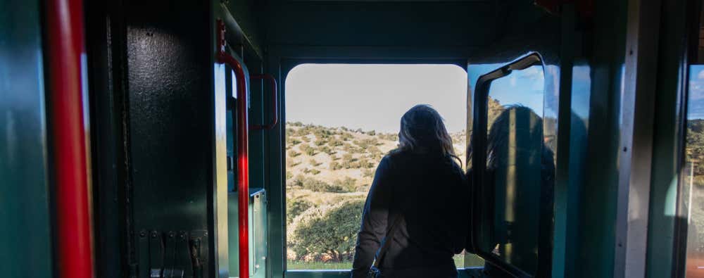 Un passeggero dai capelli lunghi si gode il paesaggio desertico messicano dal Chepe, l'unico treno passeggeri del Messico