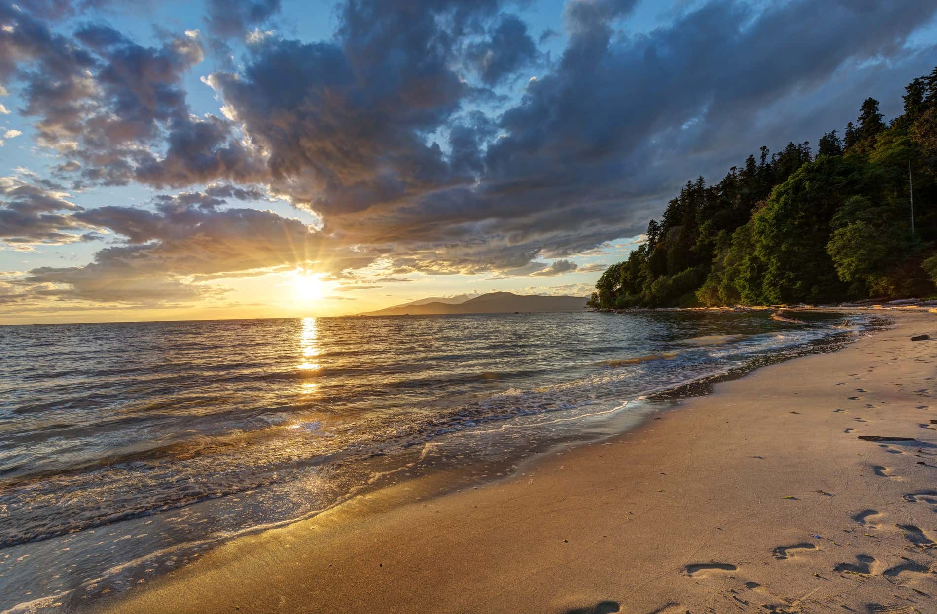 Wreck Beach Vancouver, con un tramonto sulla sinistra e una fila di alberi sulla destra