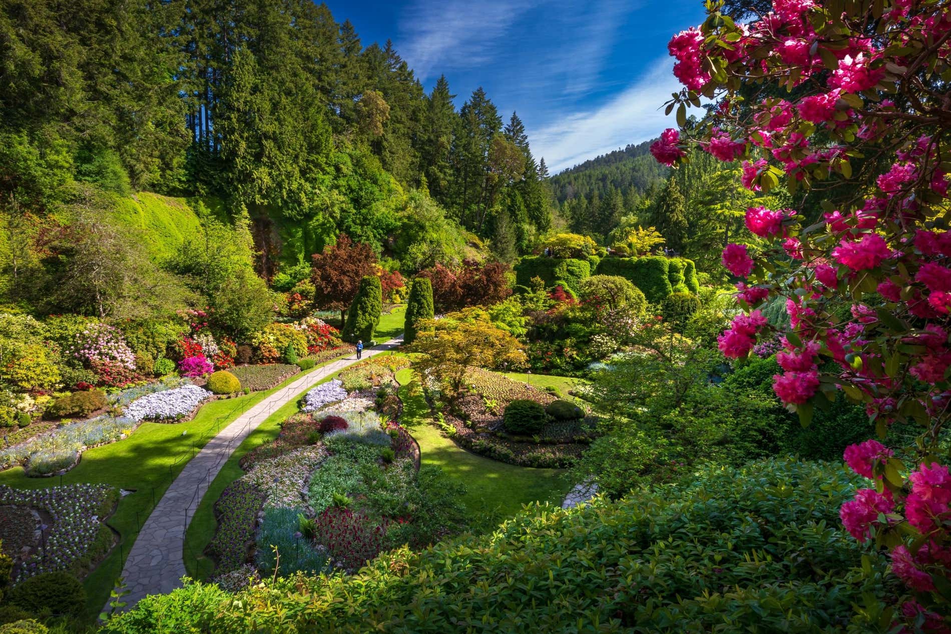Parque com frondosa vegetação colorida e caminhos para pedestres