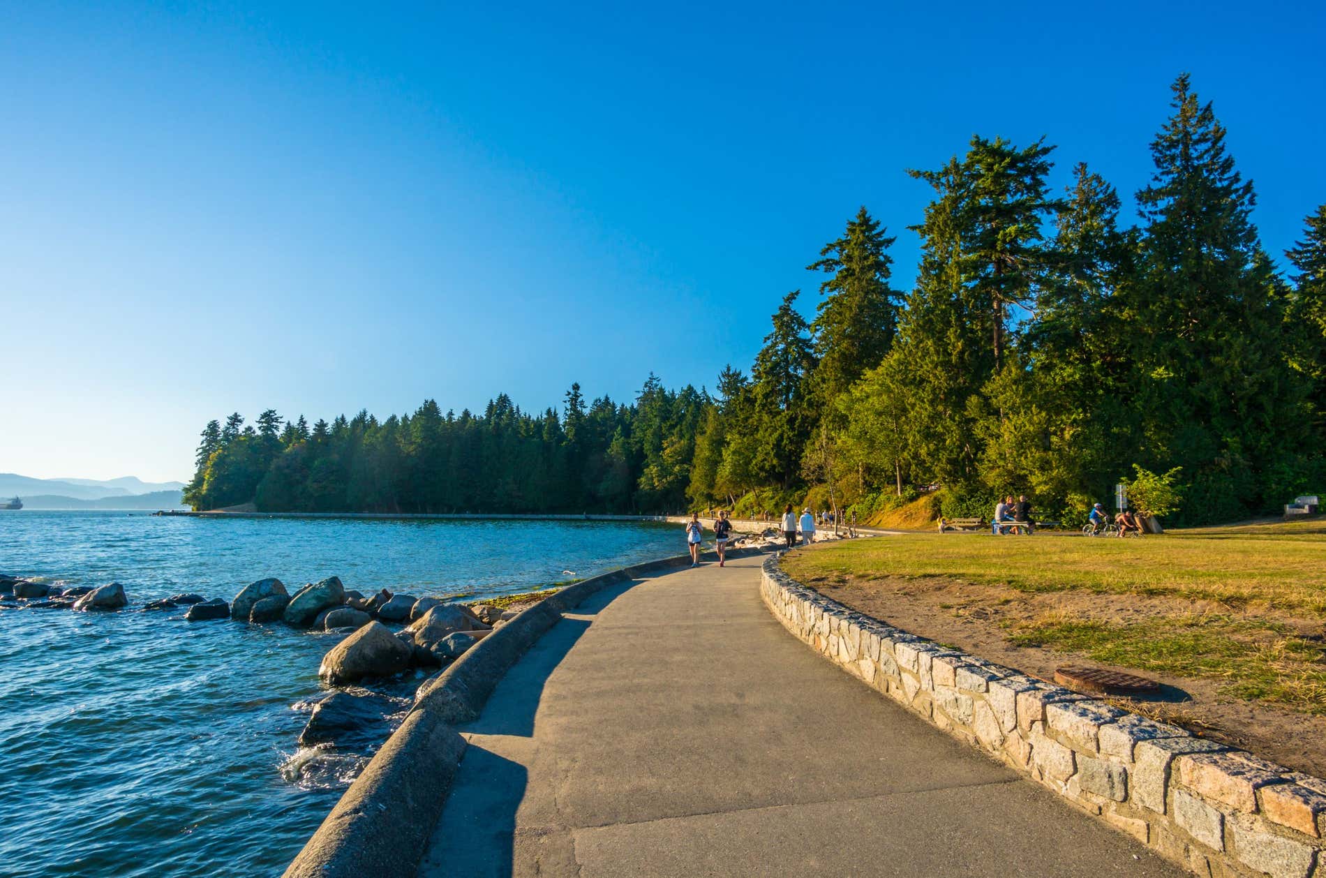 Lungomare di Stanley Park con l'acqua a sinistra e la linea degli alberi a destra.