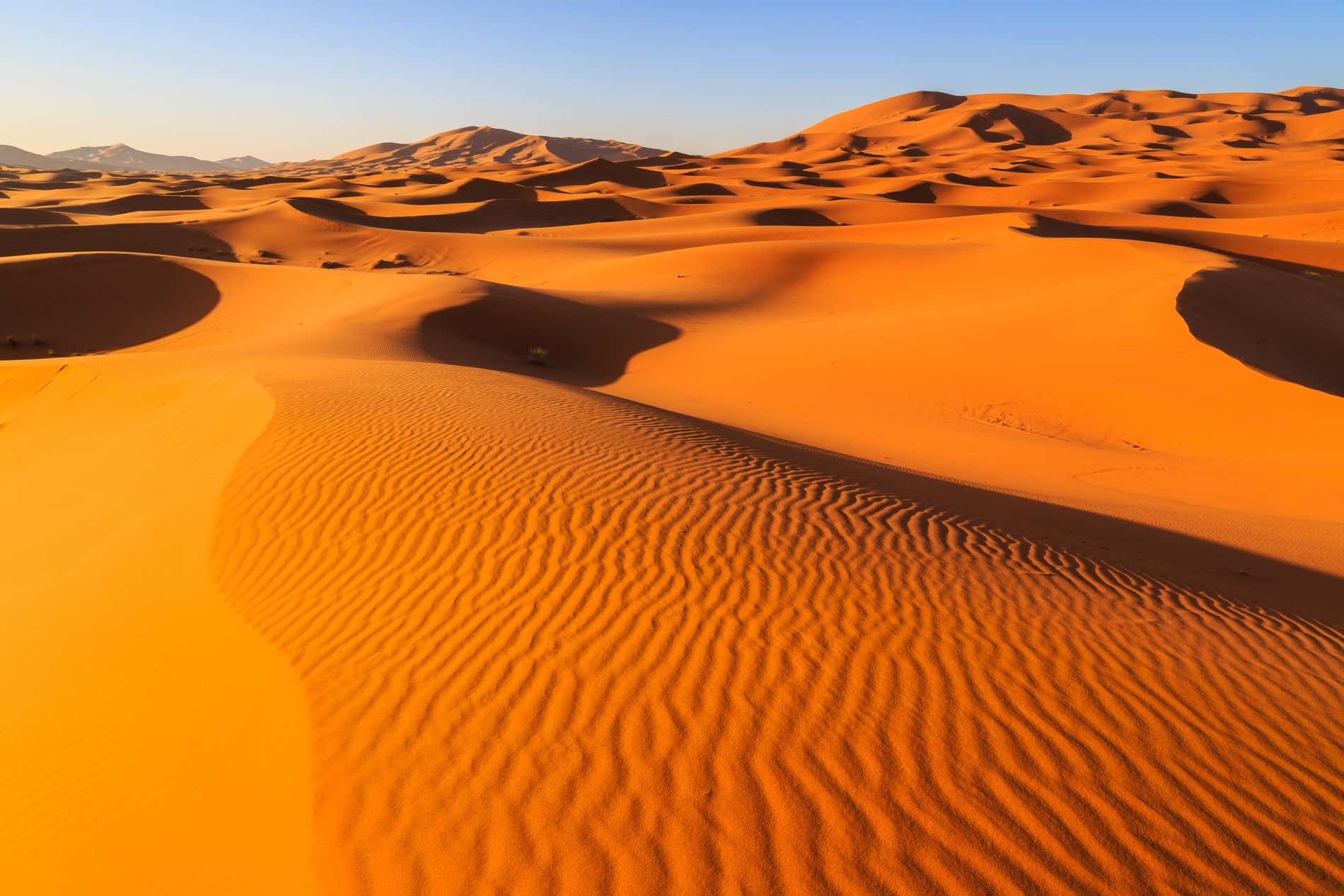 Marruecos