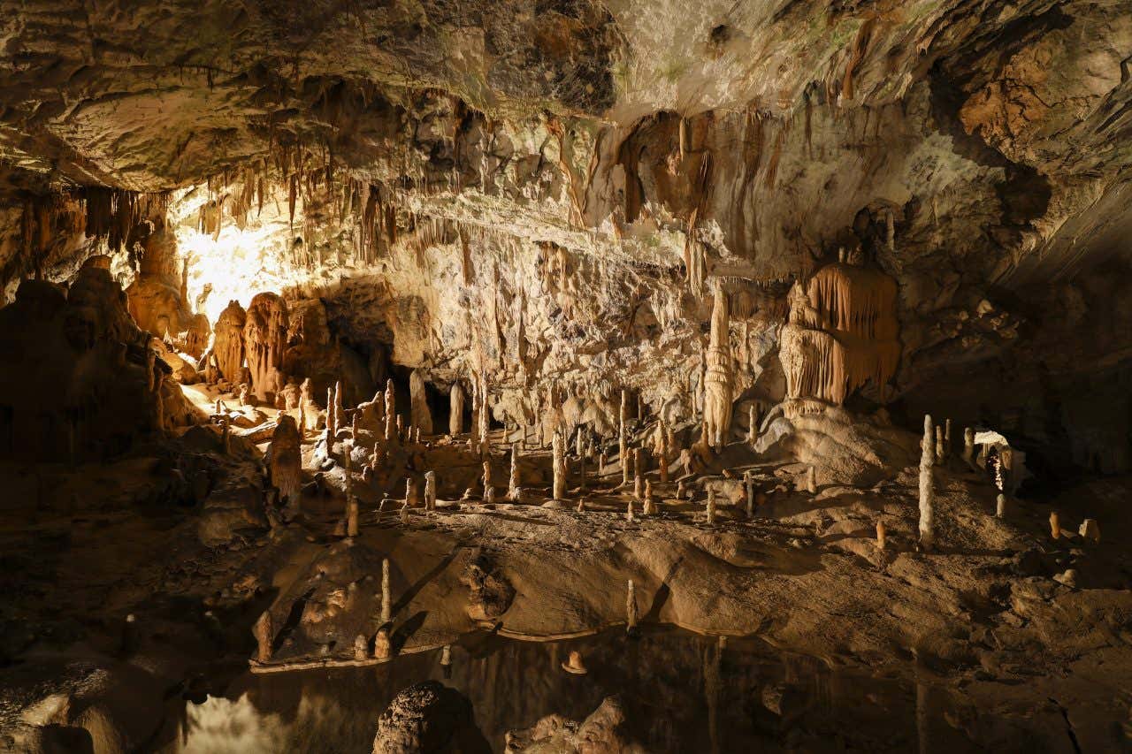L'interno di una grotta sotterranea illuminata elettricamente con stalattiti e stalagmiti che escono dalla roccia come piccole torri
