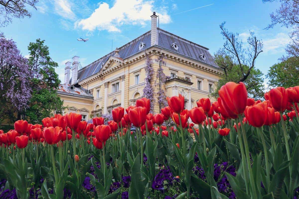 Unas flores en primer plano con un edificio histórico al fondo