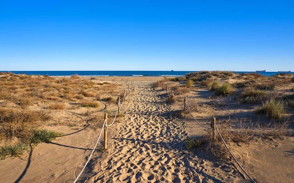 A view of El Serradal Beach, a sandy beach under a clear blue sky, with a path leaving towards the shore.