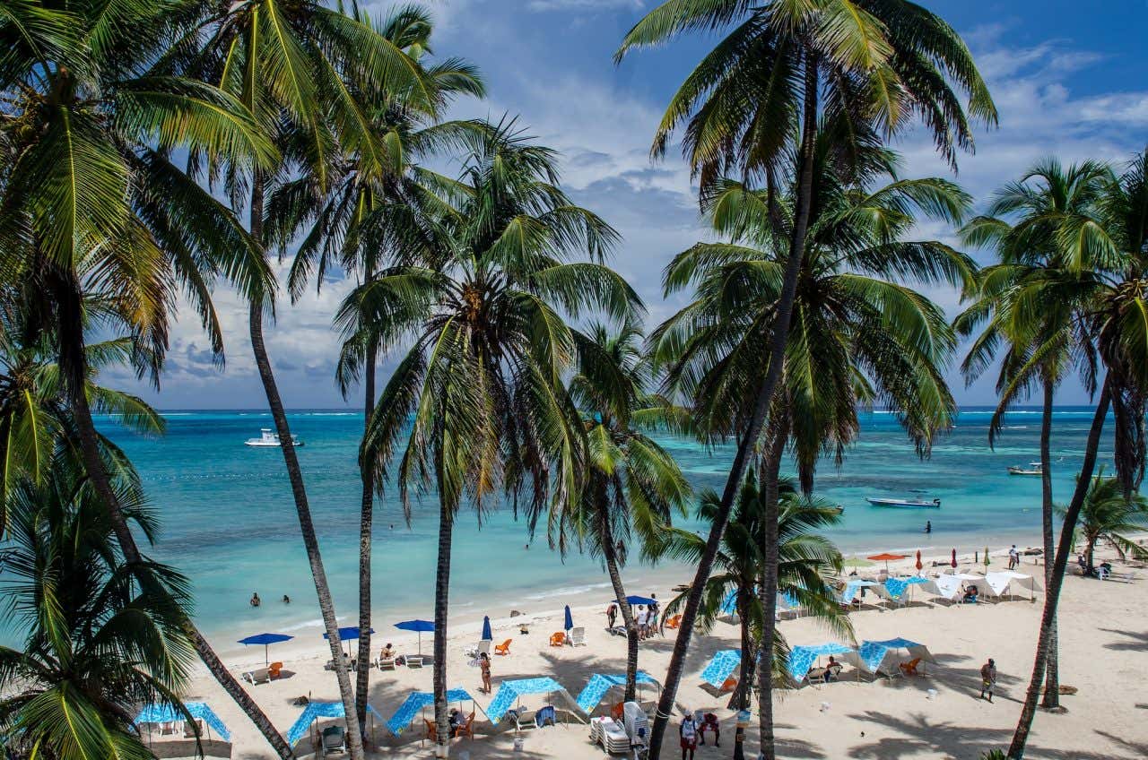 Praia de areia branca e águas turquesas repletas de coqueiros e guarda-sóis