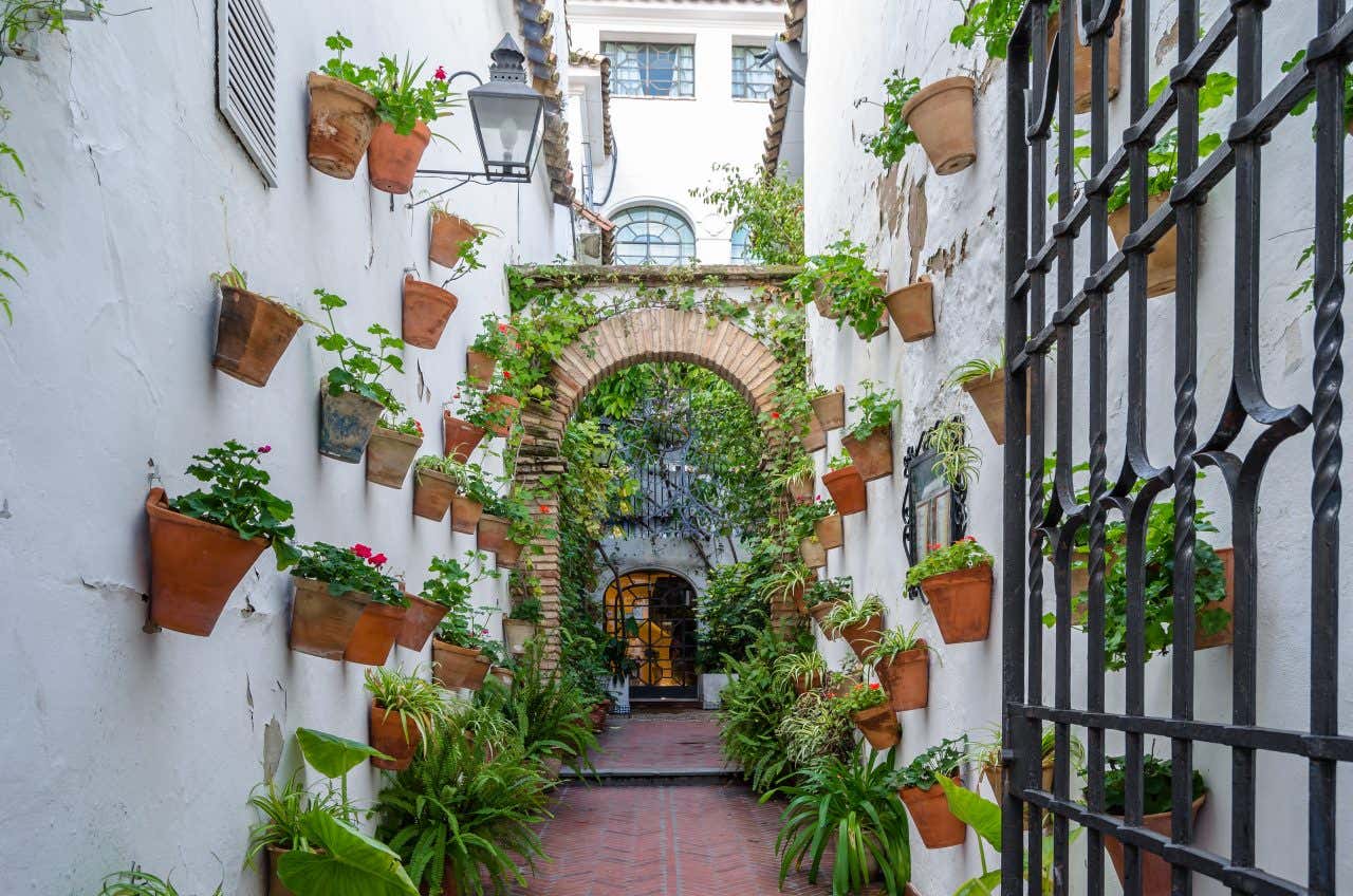 A narrow street filled with hanging pots and plants in Córdoba, Spain