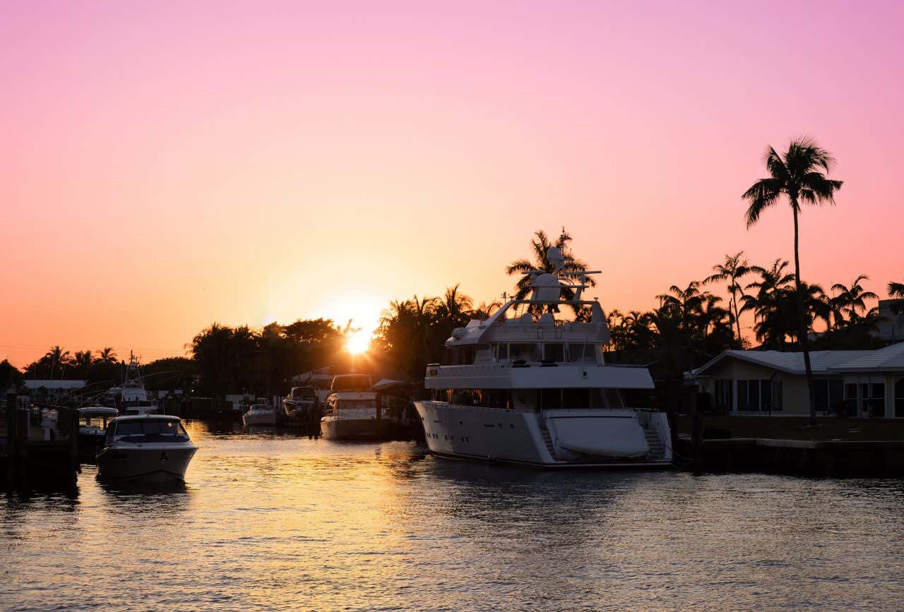 A pink/orange sky with the silhouette of a palm tree in the background.