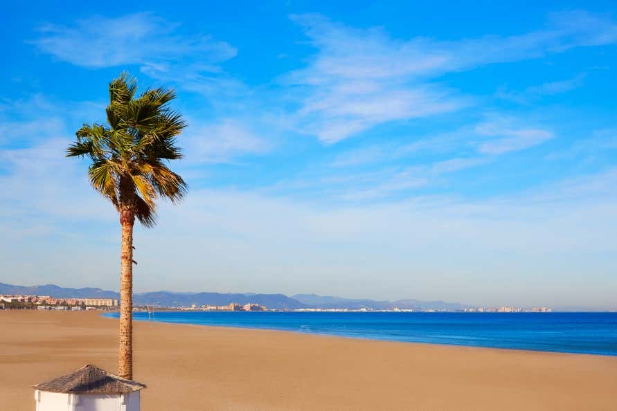 A view of La Malvarrosa Beach, a sandy beach with a palm tree and blue water, under a clear blue sky.
