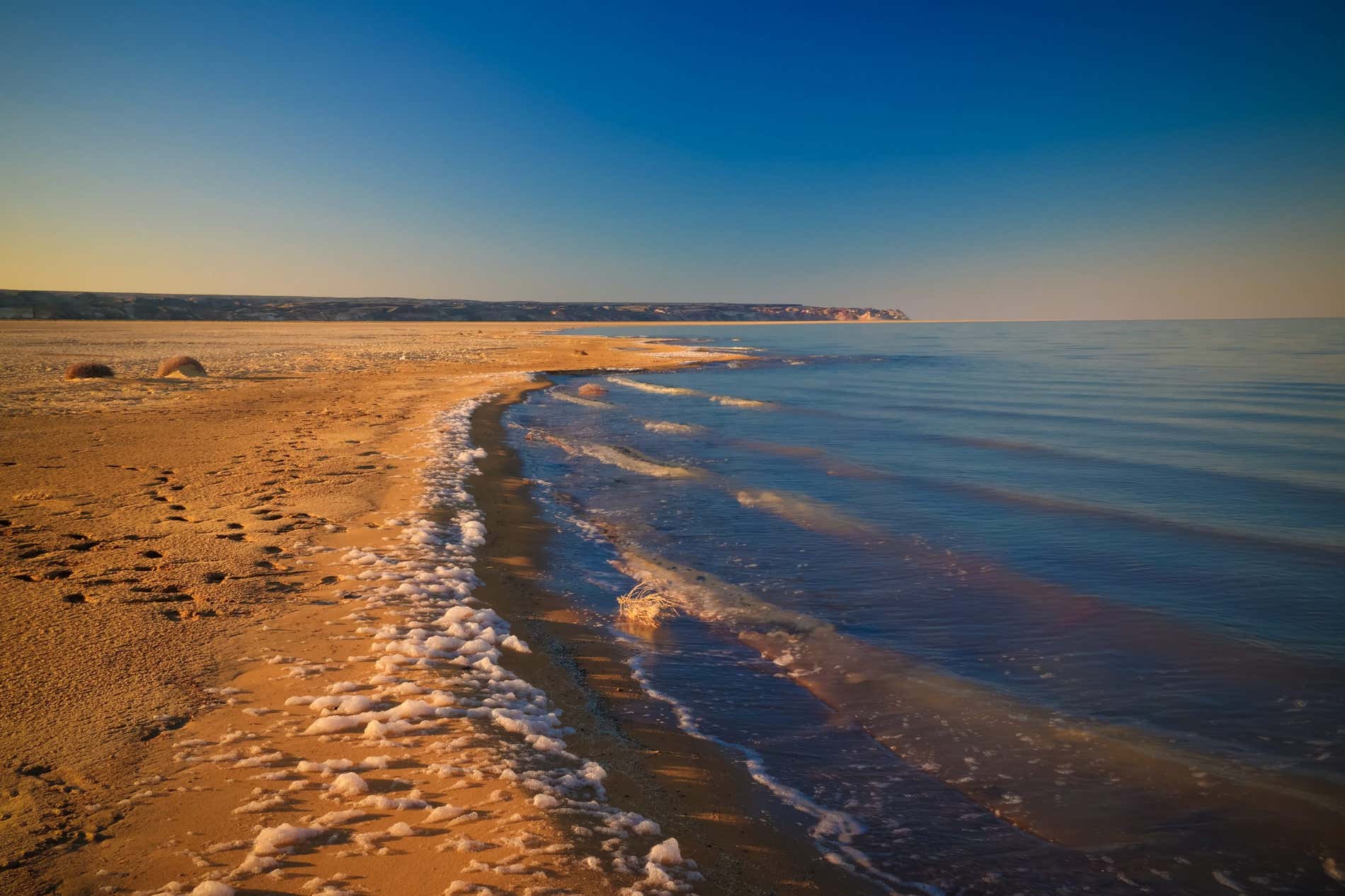 Espuma marina en el mar del Aral al atardecer en Karakalpakstan