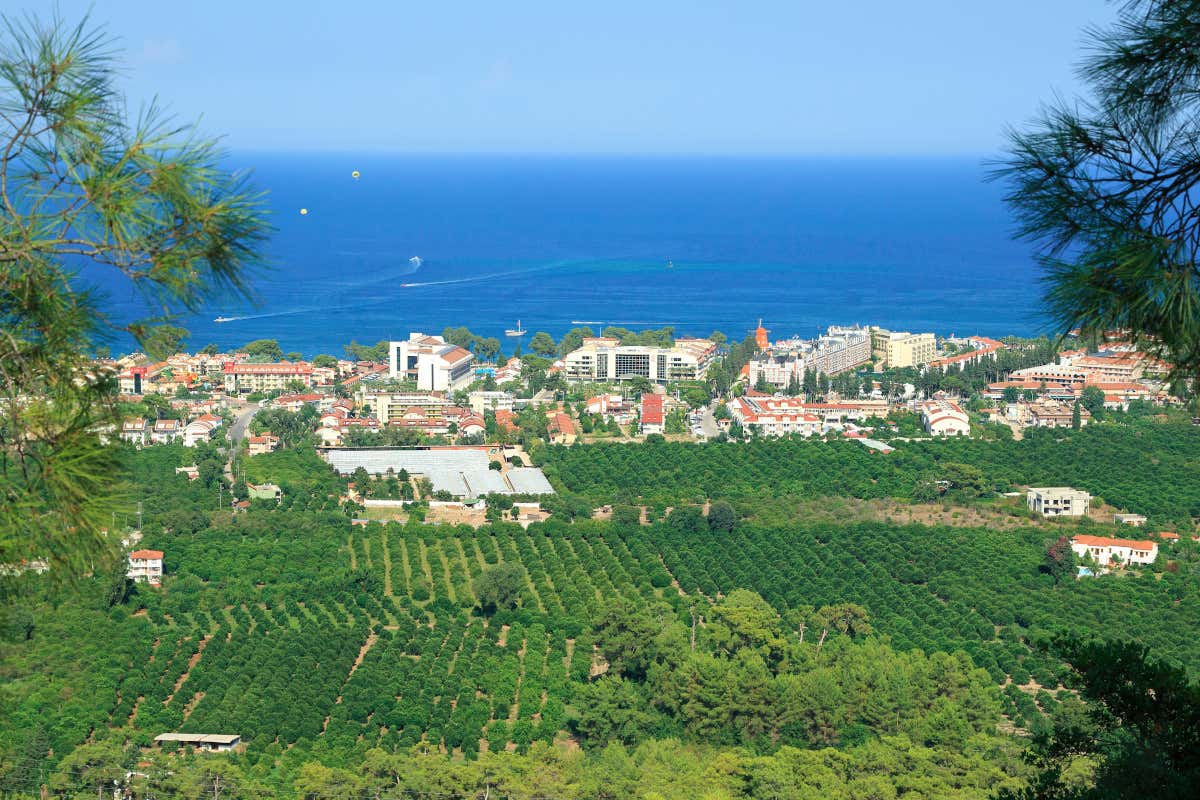 Vista aérea de un paraje costero, junto a un valle de color verde