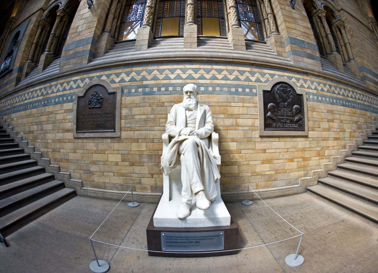 Estatua de Charles Darwin, en el Museo de Historia Natural de Londres con escalinatas a los lados