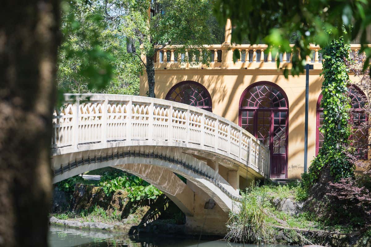Un puente sobre un estanque en un parque de Aveiro, en Portugal