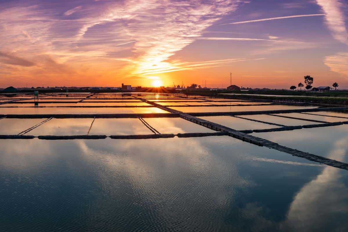 Panorámica de las salinas de Aveiro al atardecer