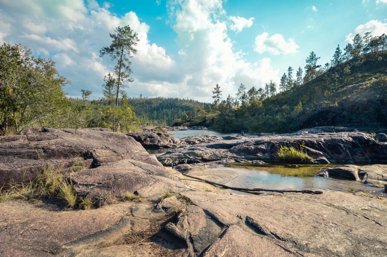 A rocky river with green vegetation in the background.