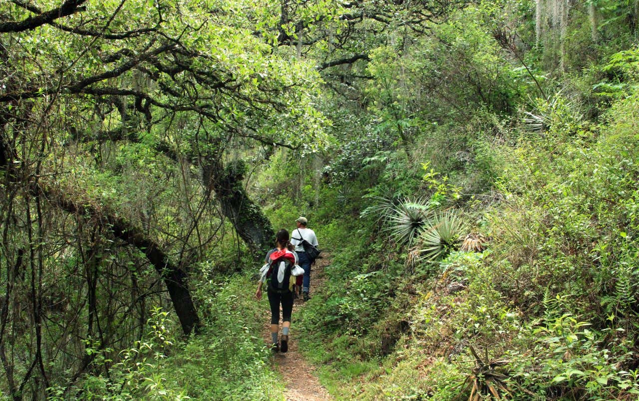 2 hikers walking in Sierra Norte as seen from behind.