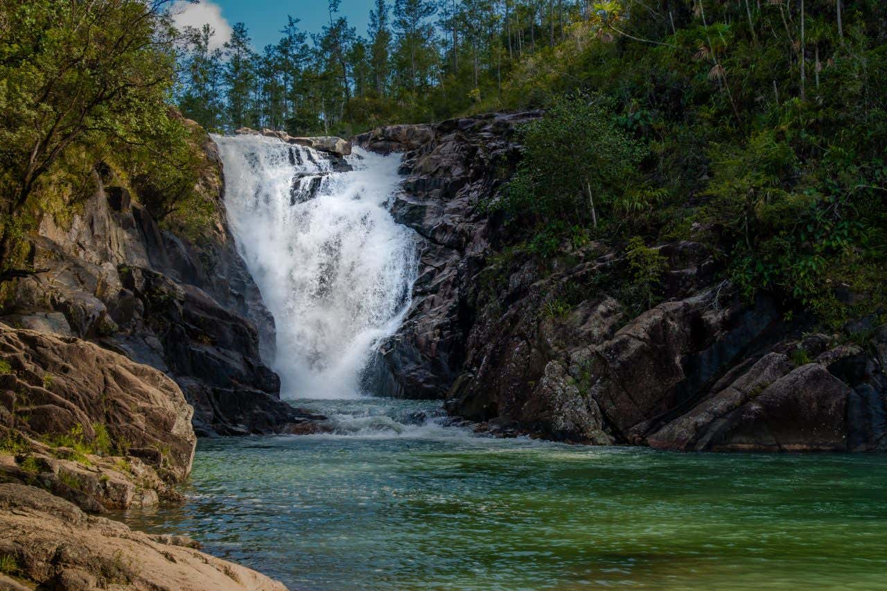 A waterfall crashing down into a river with vegetation all around it.