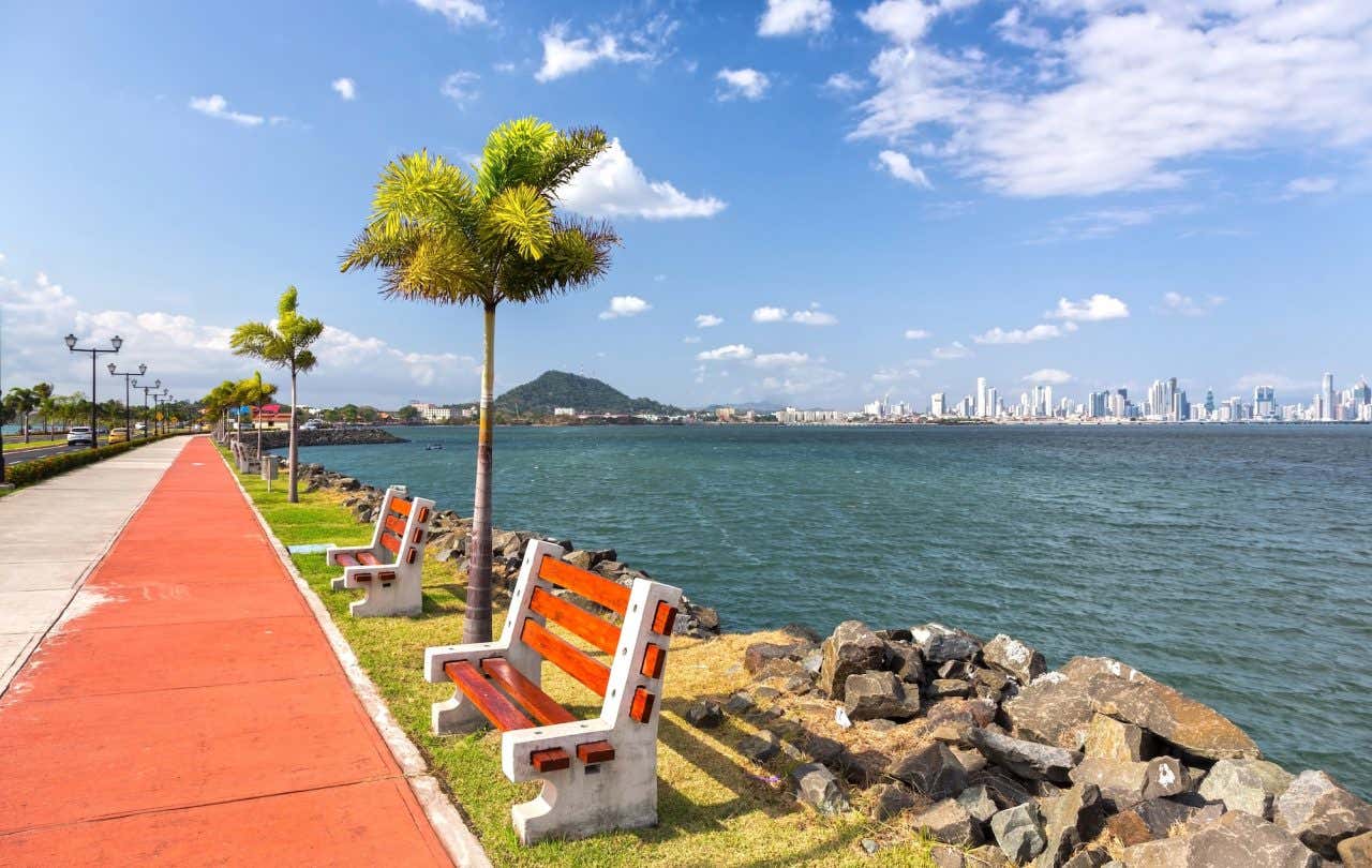 Famoso calçadão Calzada de Amador, repleto de bancos de jardim e palmeiras, com o horizonte distante do centro da cidade