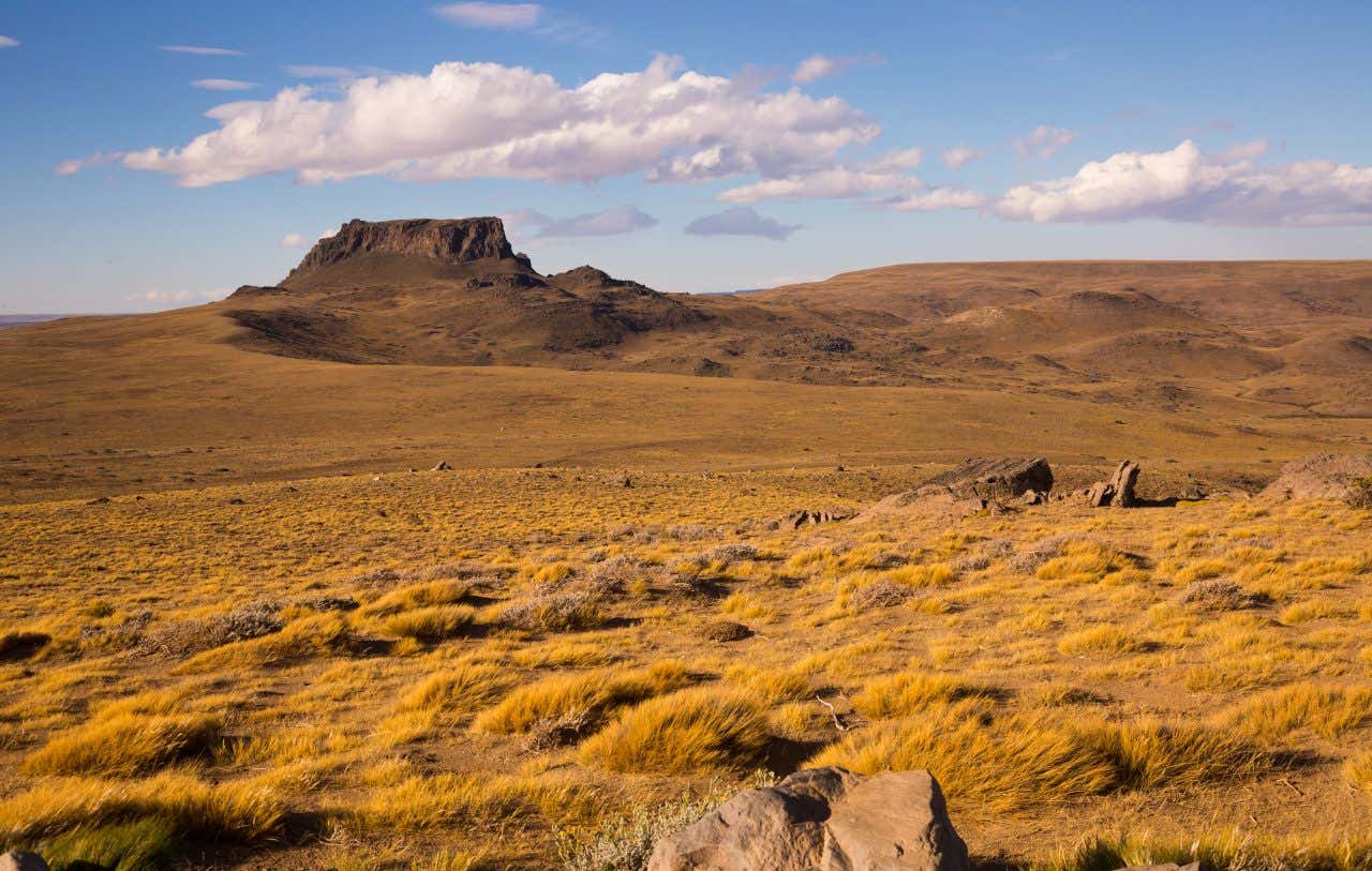 Paysage de la steppe de la Patagonie argentine