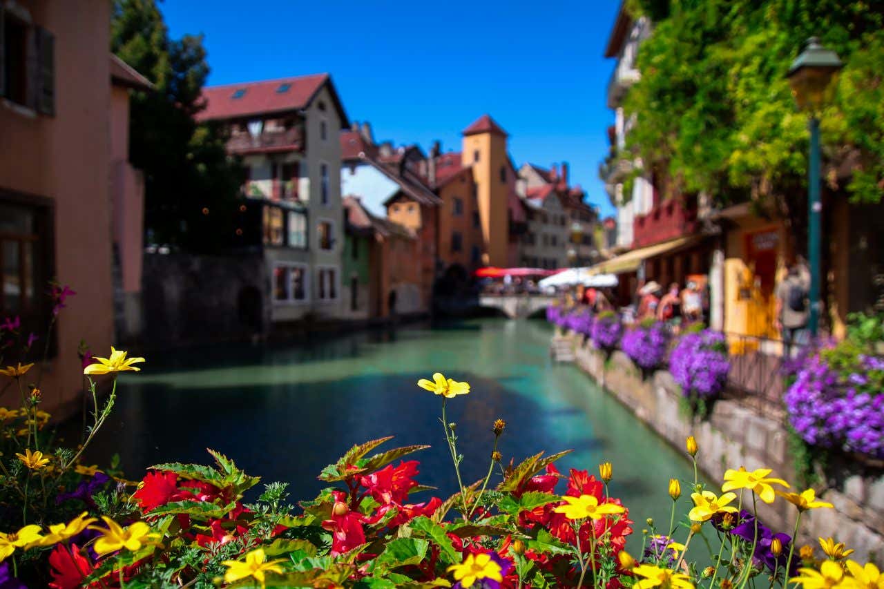 Rue du centre d'Annecy au bord d'un canal avec des fleurs en premier plan
