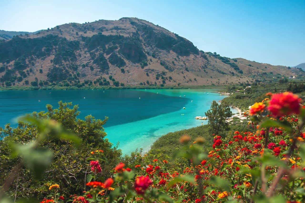 Un cespuglio fiorito in primo piano, guida lo sguardo verso uno specchio d'acqua dolce diviso in due colori: un azzurro chiaro vicino alla costa e un blu scuro al centro. Sullo sfondo una collina con qualche macchia di bosco