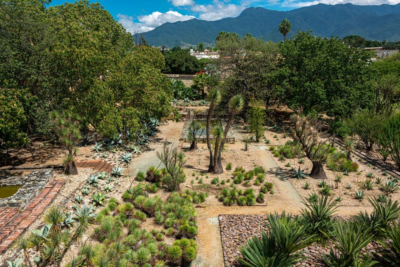 Oaxaca Ethnobotanical Garden seen from above with the mountains in the background.