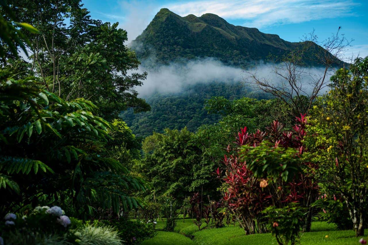 Bela vegetação no Valley de Antón, com plantas tropicais e montanhas