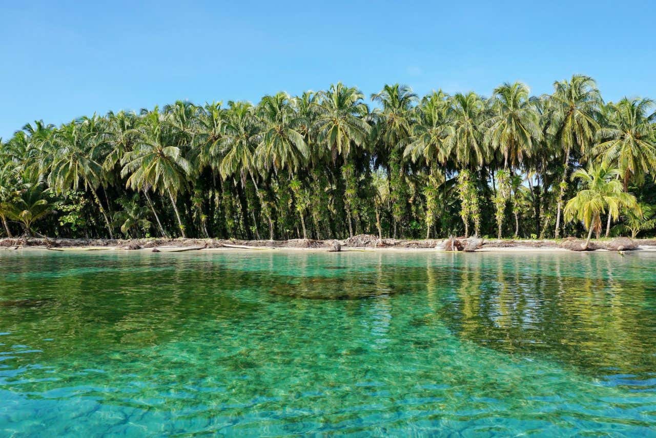 Ilha repleta de coqueiros com areia branca cercada de águas cristalinas