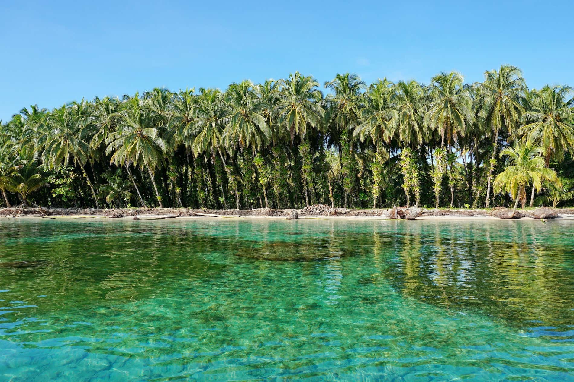 Isola ricca di palme da cocco con sabbia bianca circondata da acque cristalline