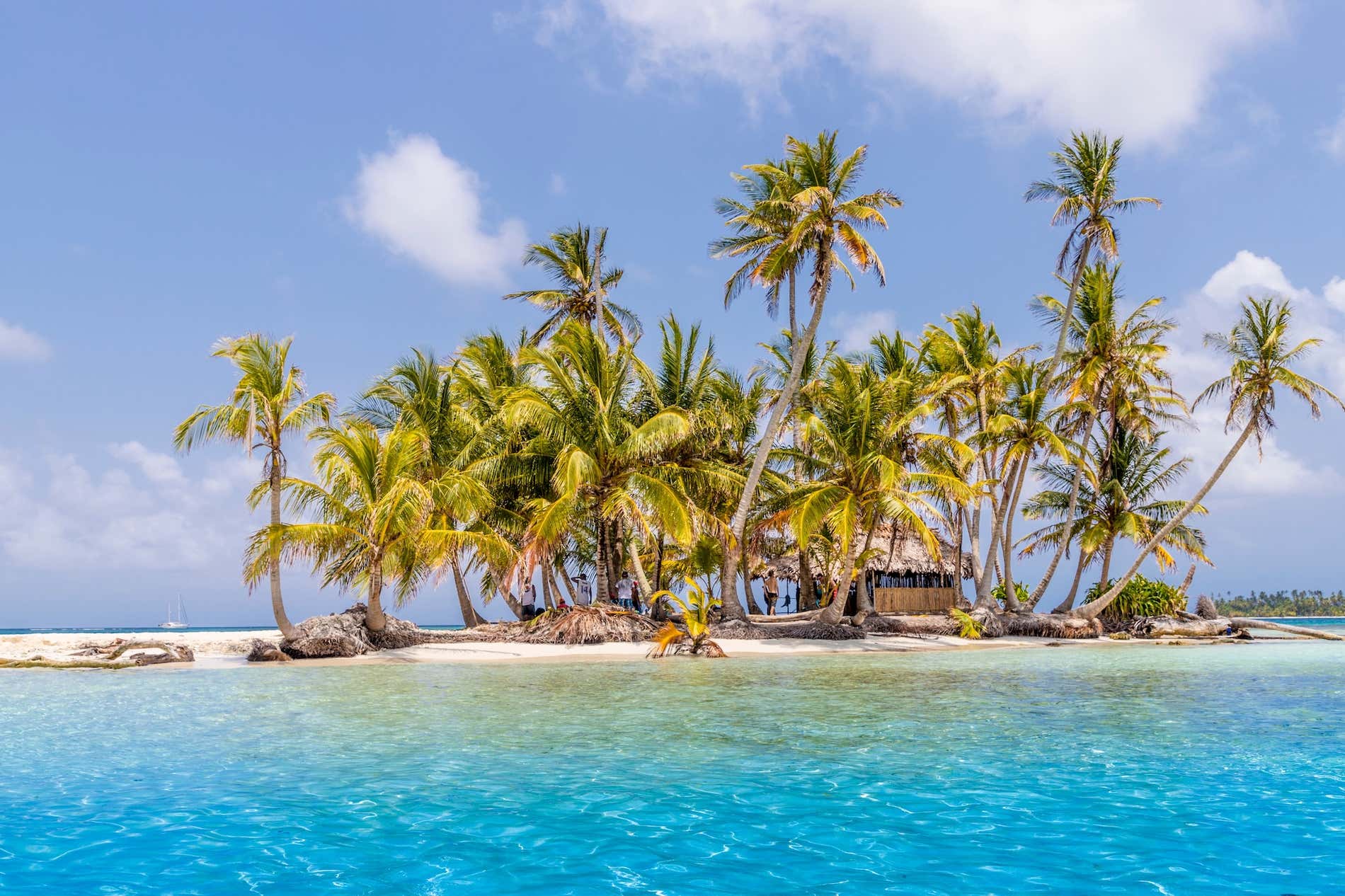 Isola coperta di palme da cocco con sabbia bianca circondata da acque turchesi