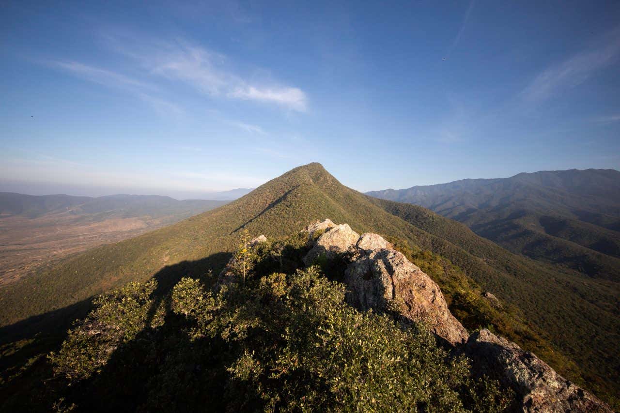 A mountain peak in Sierra Juárez with a clear blue sky in the background.