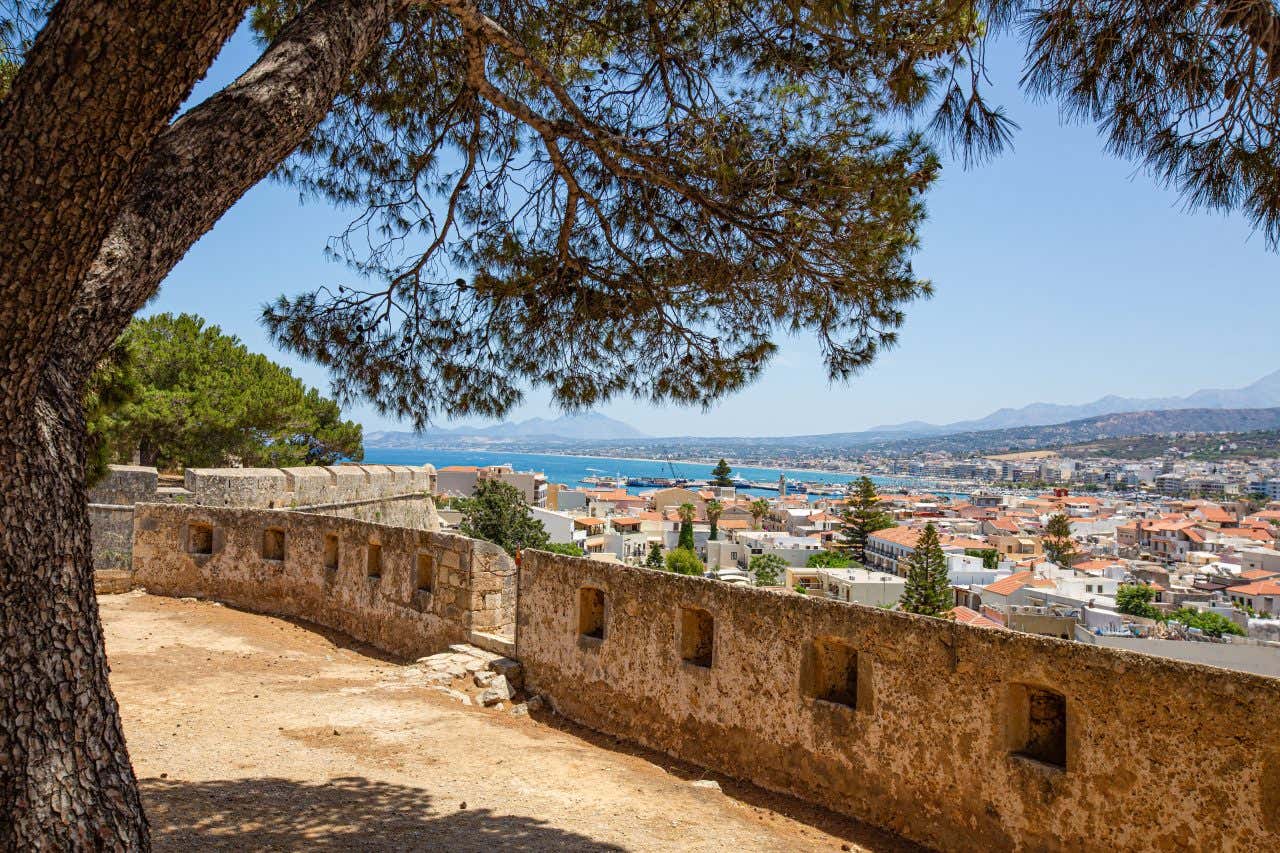 In primo piano c'è un pino silvestre all'interno di un cortile recintato in pietra, al di là del quale di apre la vista su una città di mare in una giornata di sole