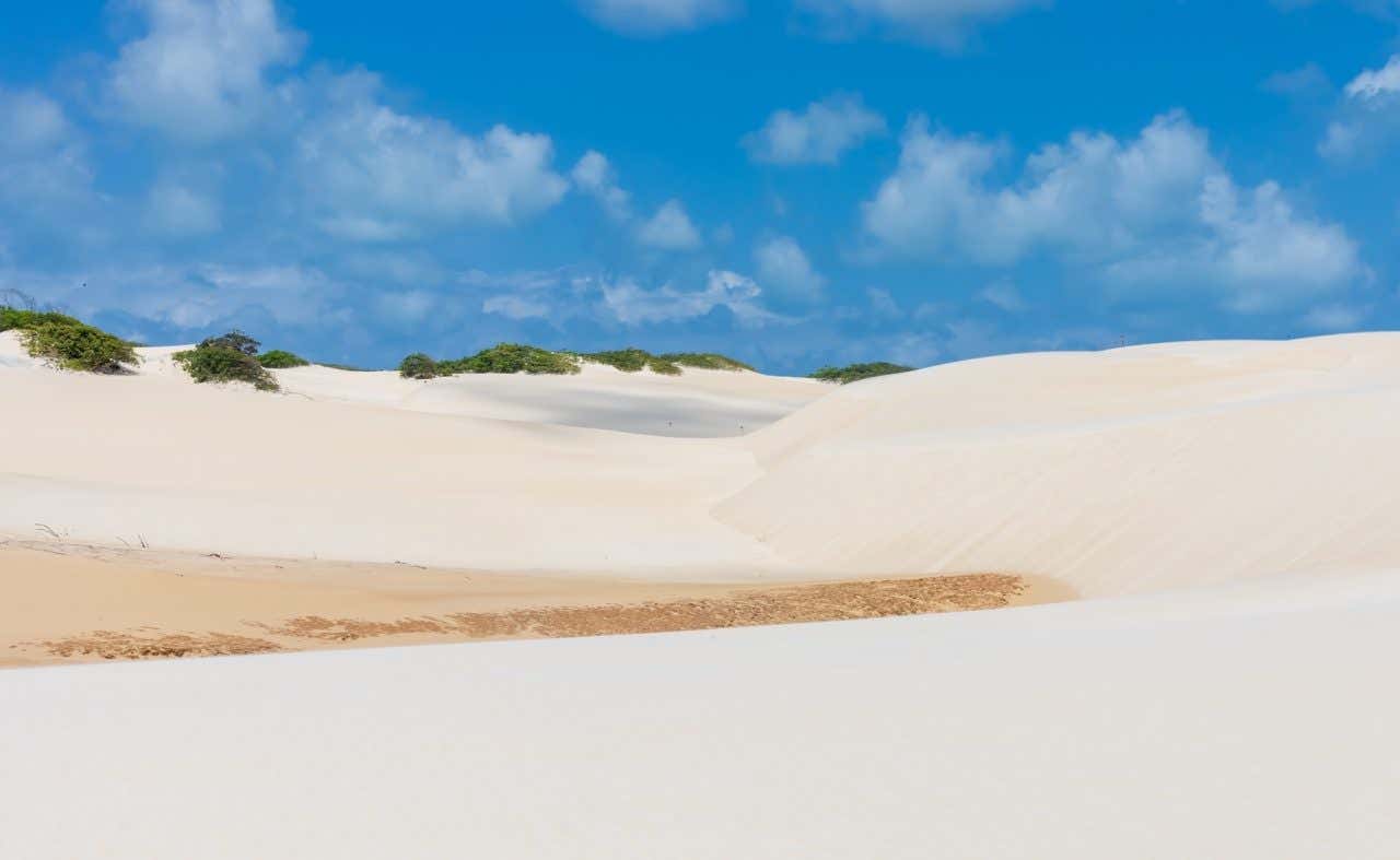 Paisagem de dunas com vegetação em um dia ensolarado