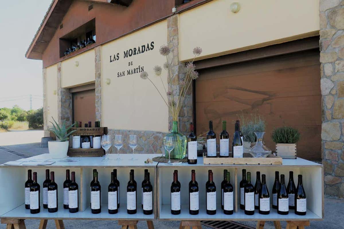 Mesa con botellas de vino en una bodega
